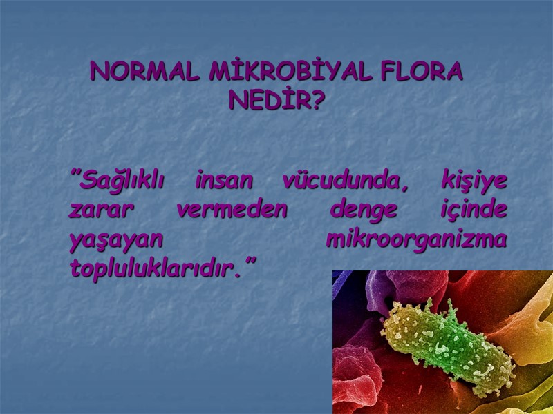 NORMAL MİKROBİYAL FLORA NEDİR?  ”Sağlıklı insan vücudunda, kişiye zarar vermeden denge içinde yaşayan